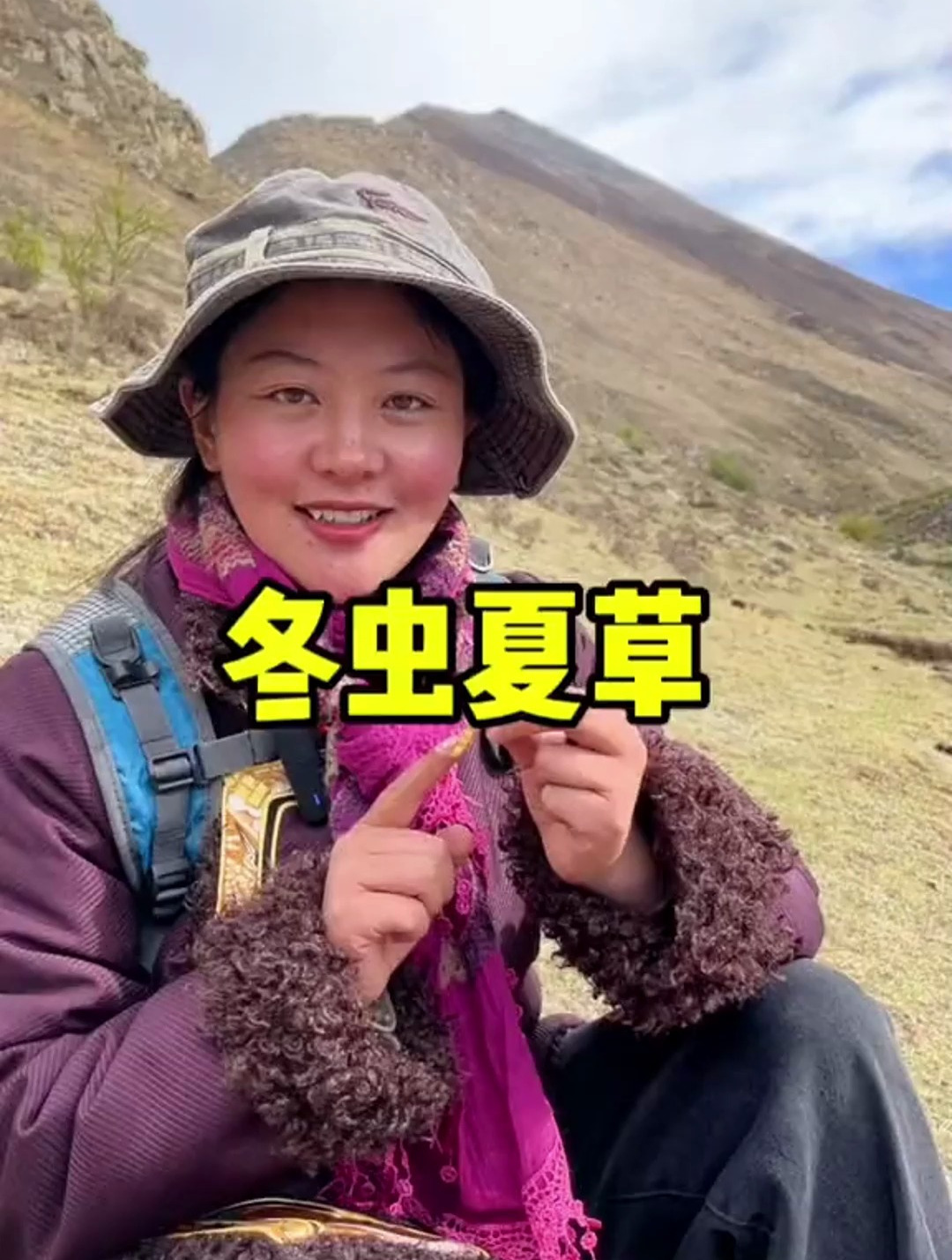 冬虫夏草的形成,冬虫夏草到底是虫还是草呢?挖虫草