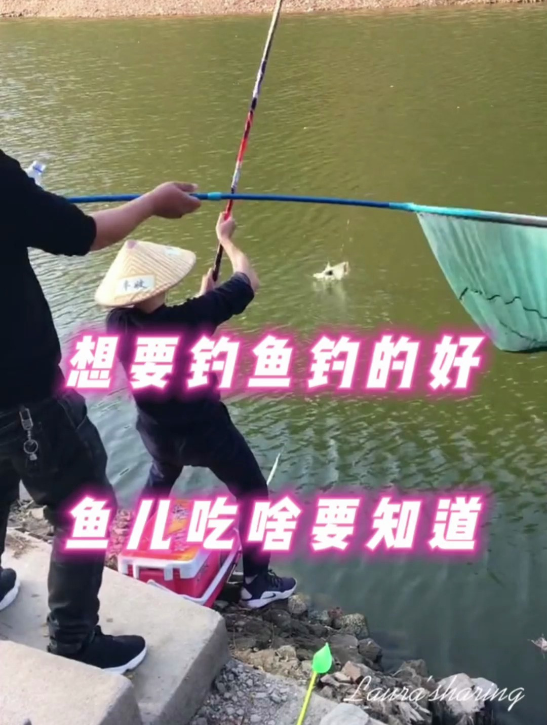 鱼儿最喜欢的八种食物,想要钓鱼钓的好,鱼儿吃啥要知道