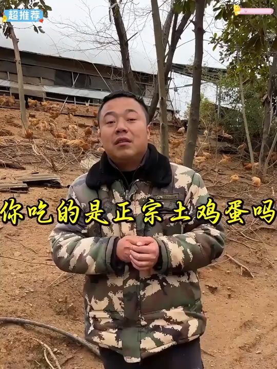 出售自家养的土鸡蛋,纯粮食喂养,吃得放心,吃得健康