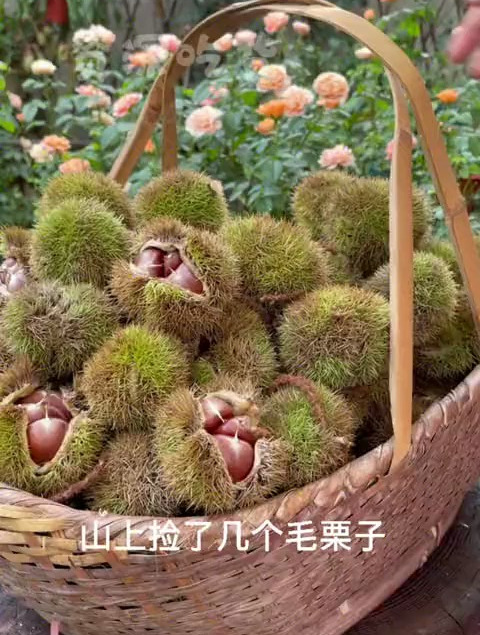 做个营养又清凉的板栗糕