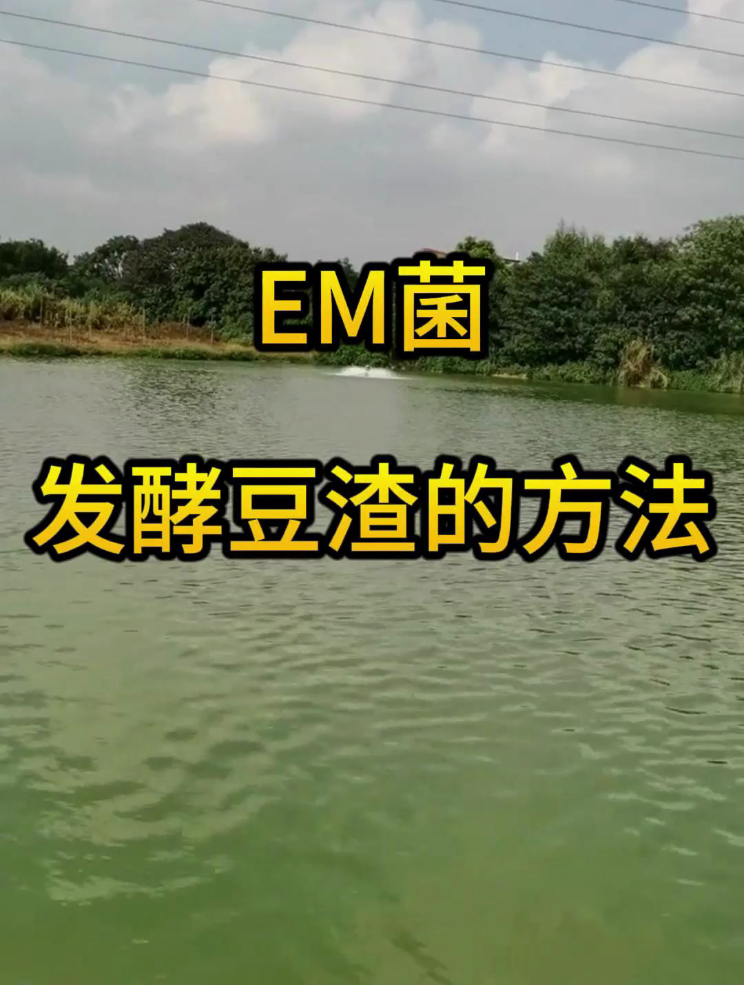 用em菌发酵豆渣的方法,水产养殖技术分享