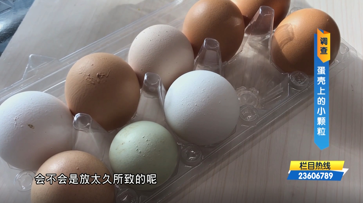 鸡蛋上面的小颗粒是正常现象吗?业内人士表示:估计补钙补多了!
