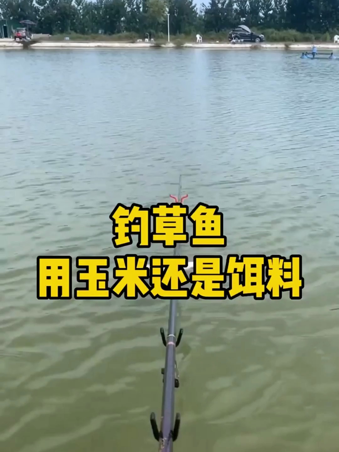 钓草鱼用玉米还是饵料?你一般都用什么?
