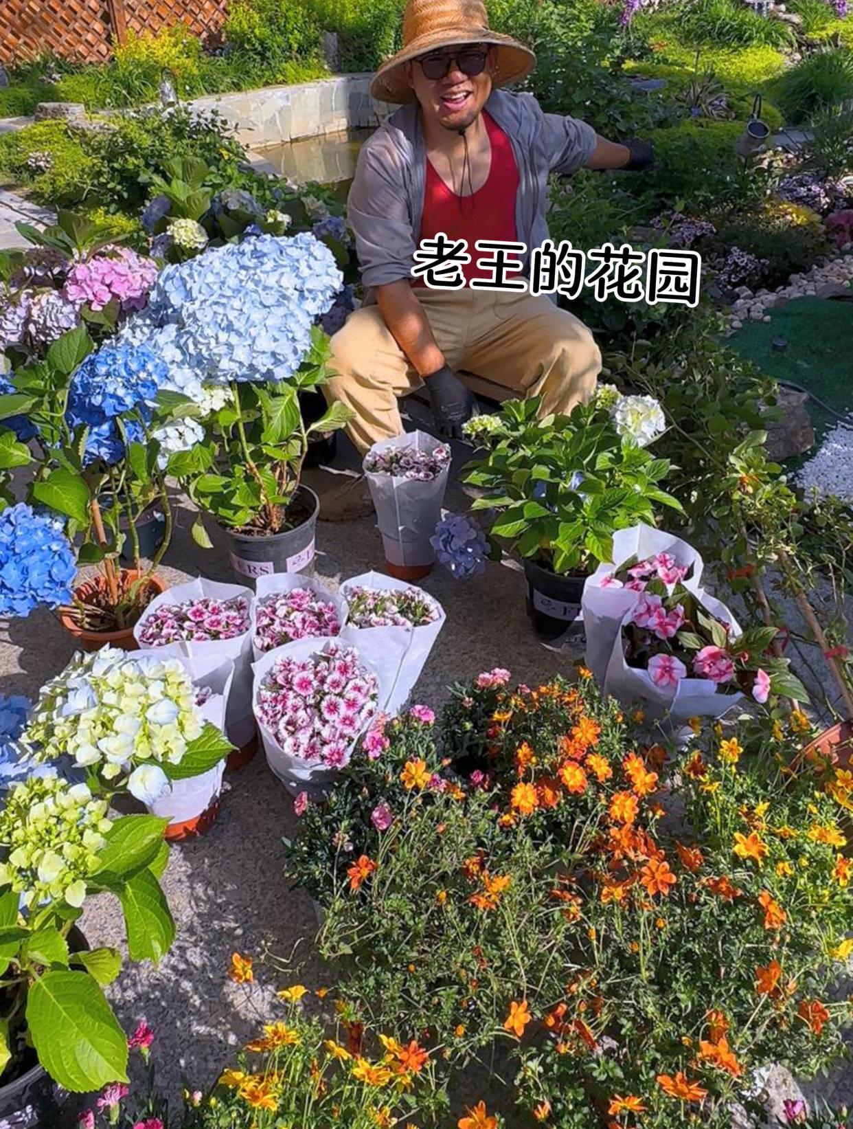 在农村绿化带都能做一道菜,老王可不想错过这免费的绿色食品