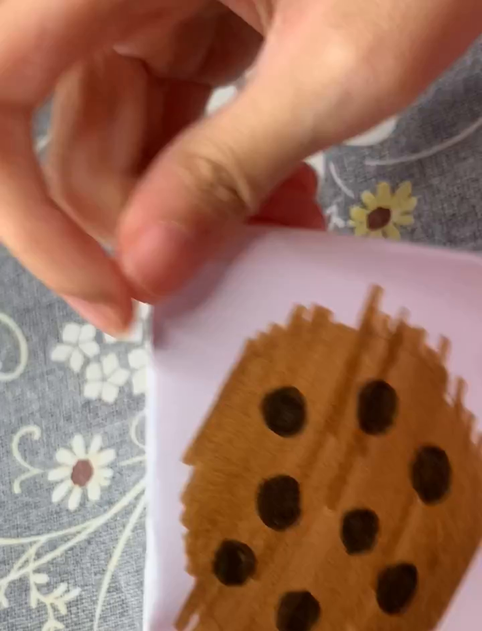 自己在家做曲奇,轻松捏出美味小饼干