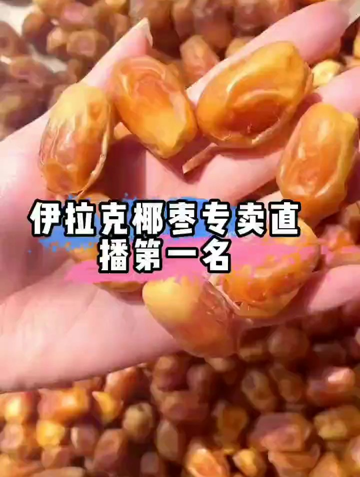 “沙漠面包”椰枣你吃过吗?它是迪拜中年人的挚爱,营养非常丰富