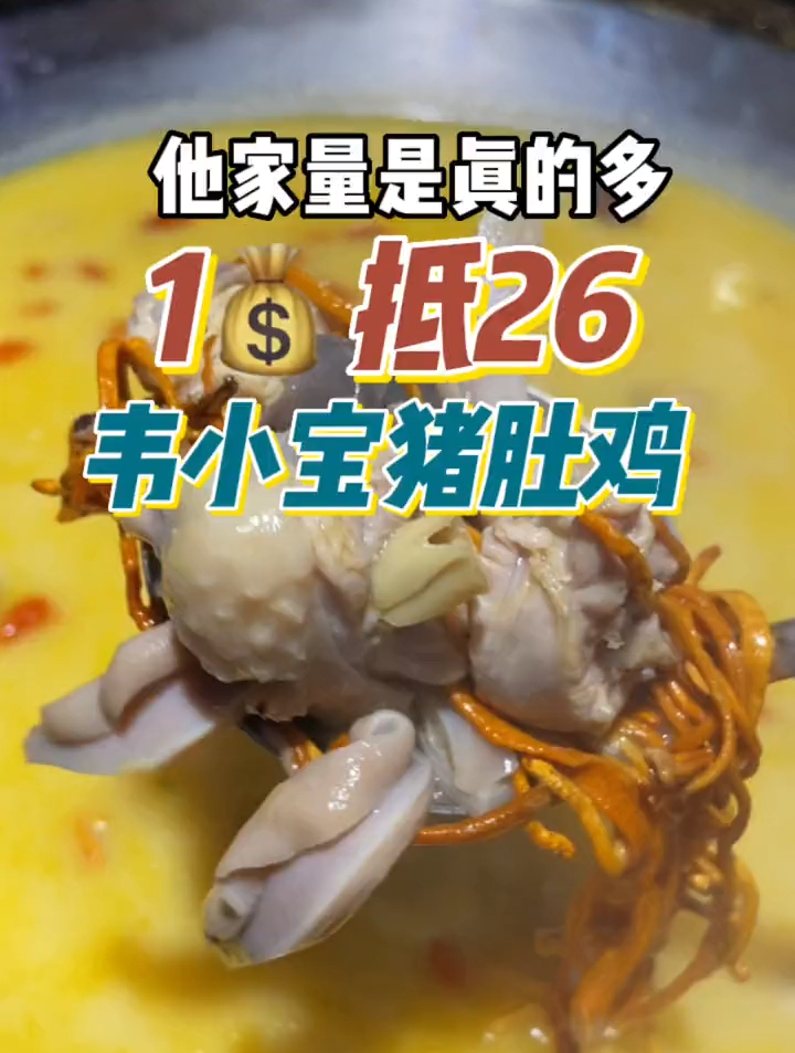 「韦小宝猪肚鸡」138虫草花猪肚鸡,满满的料,快冲鸭!