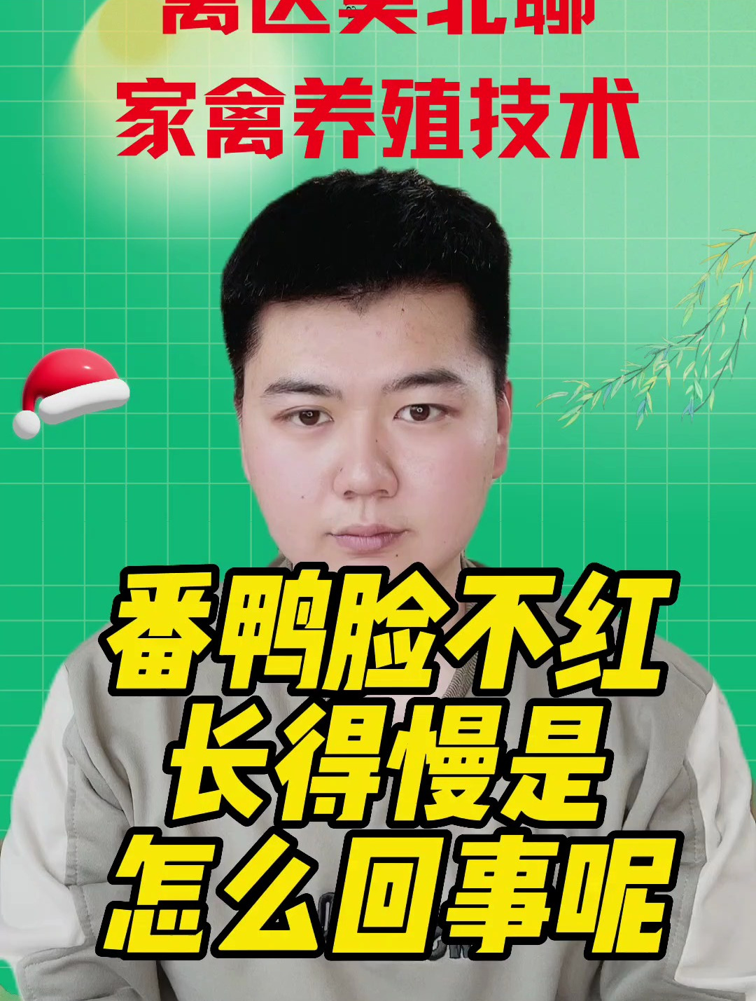 番鸭脸不红什么原因番鸭红脸不红脸有啥区别番鸭怎样快速养红脸