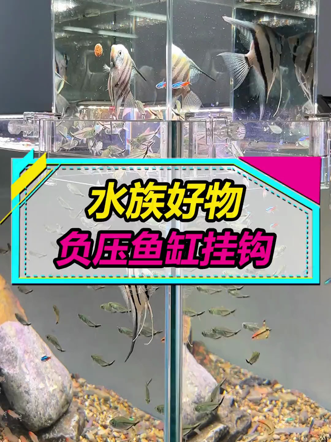 用闲置小缸做一个负压鱼缸,现在有专用挂钩啦