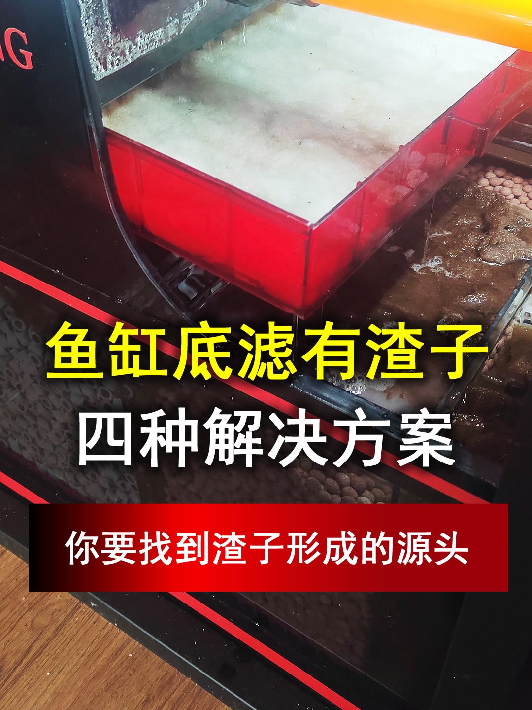 鱼缸底滤都是渣子,就是冲散的鱼便,给你4种解决方案