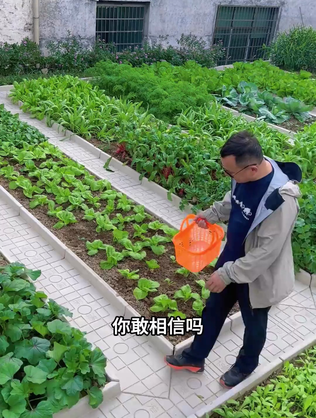 你退休后想不想改造一个这样的菜园呢?