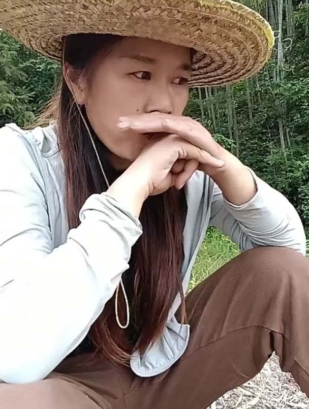 七彩山鸡鸟叫声大全