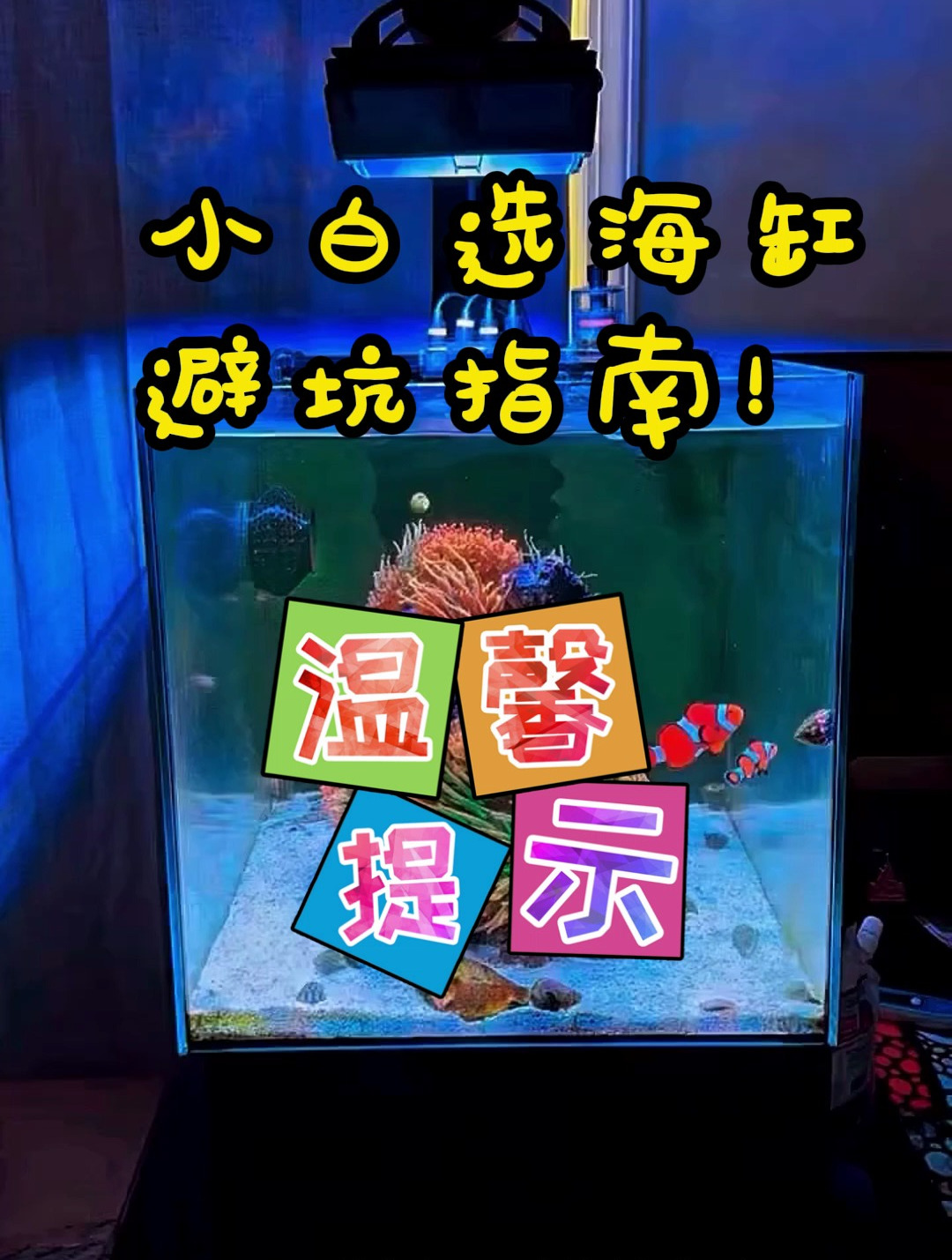 小白选海缸避坑指南!开海缸千万不要买太小的鱼缸