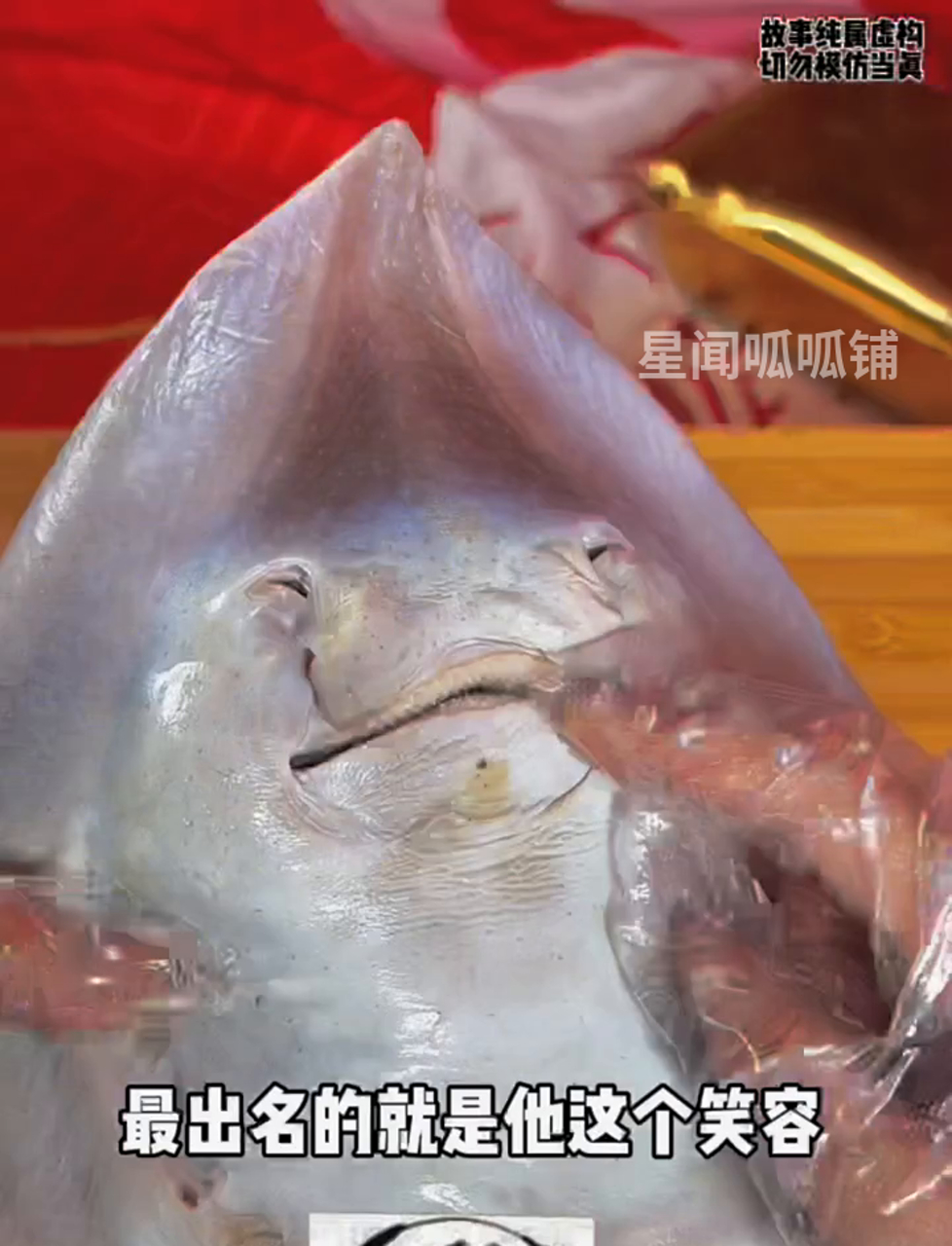 乐呵呵的鱼脸,鱼脸乐呵呵～～～～