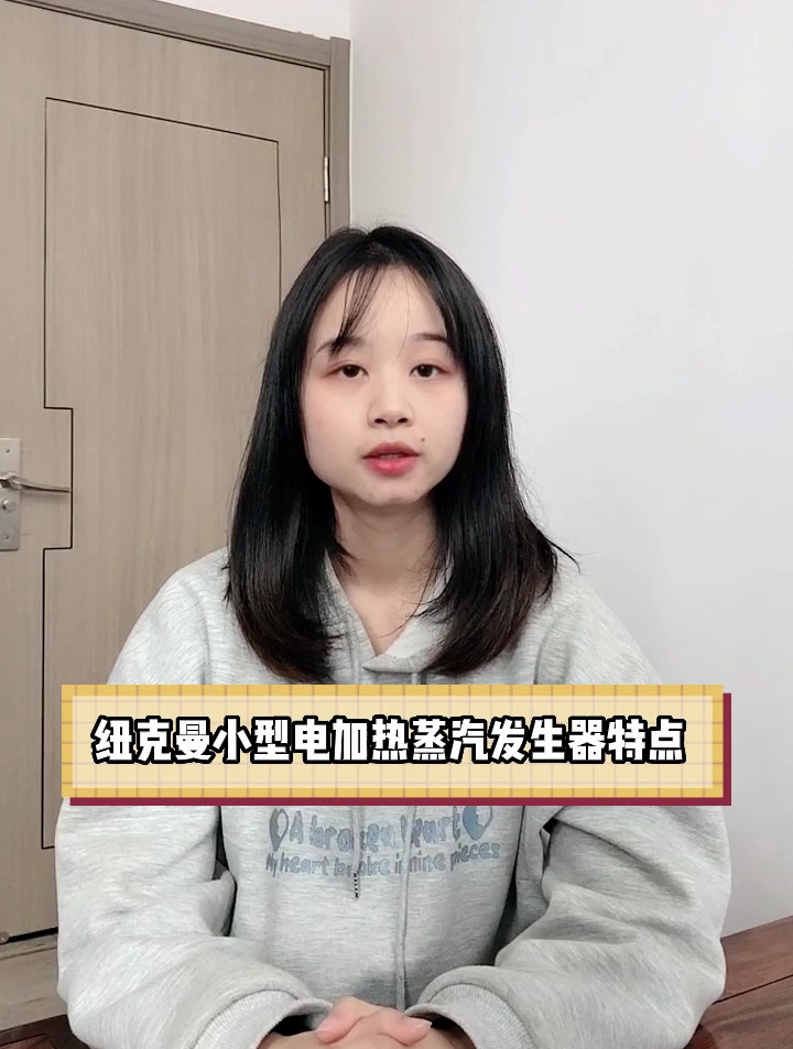 纽克曼小型电加热蒸汽发生器特点!