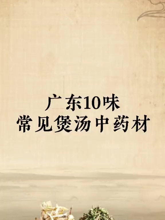 广东10味常见煲汤中药材