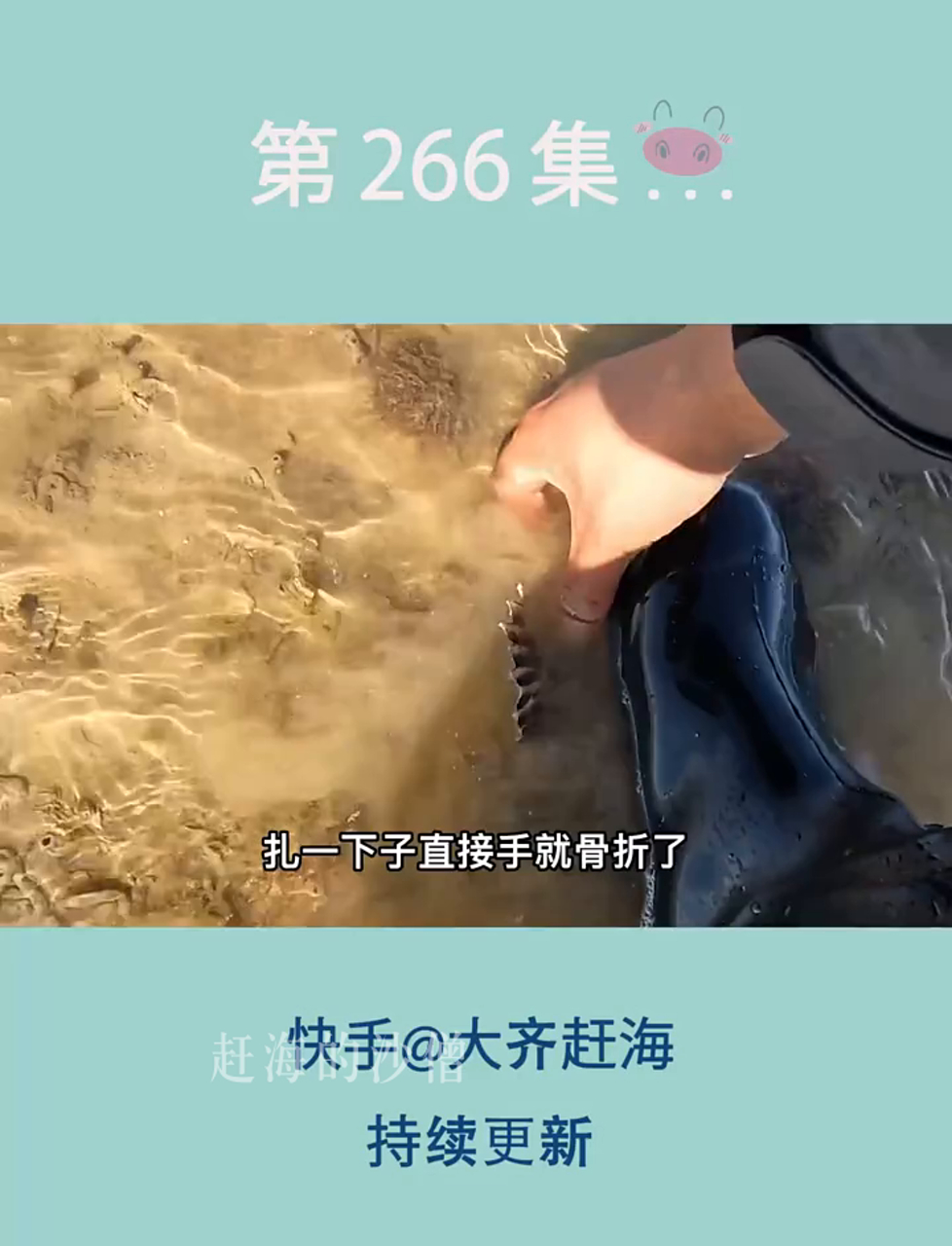 海边退潮捡宝,老齐捡到比巴掌大的黑鱼,还有一堆猫眼螺!