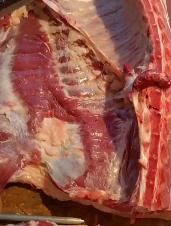 整猪分解,卸中前段 猪肉 放心肉 正宗土猪肉 刀工