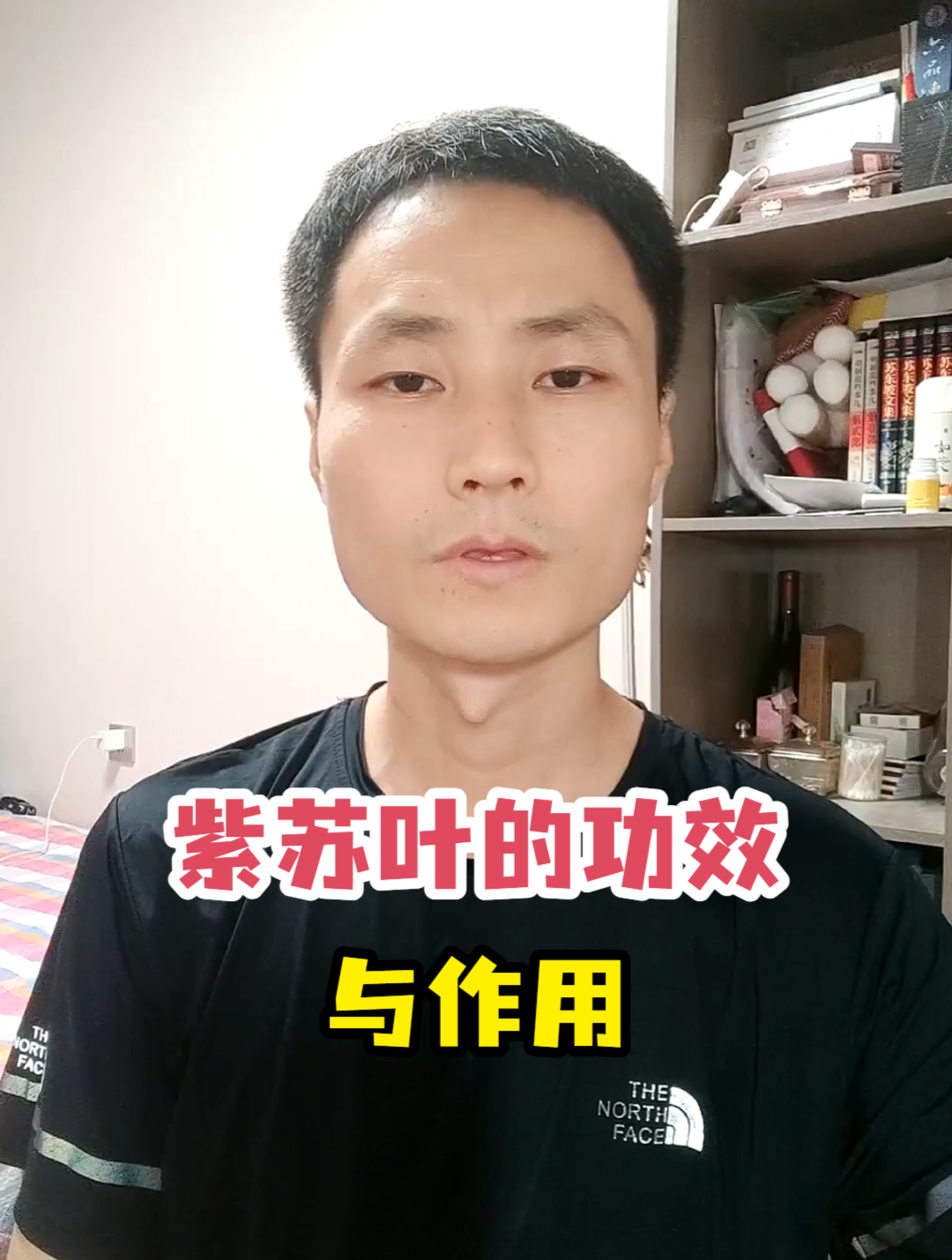 紫苏叶的功效与作用