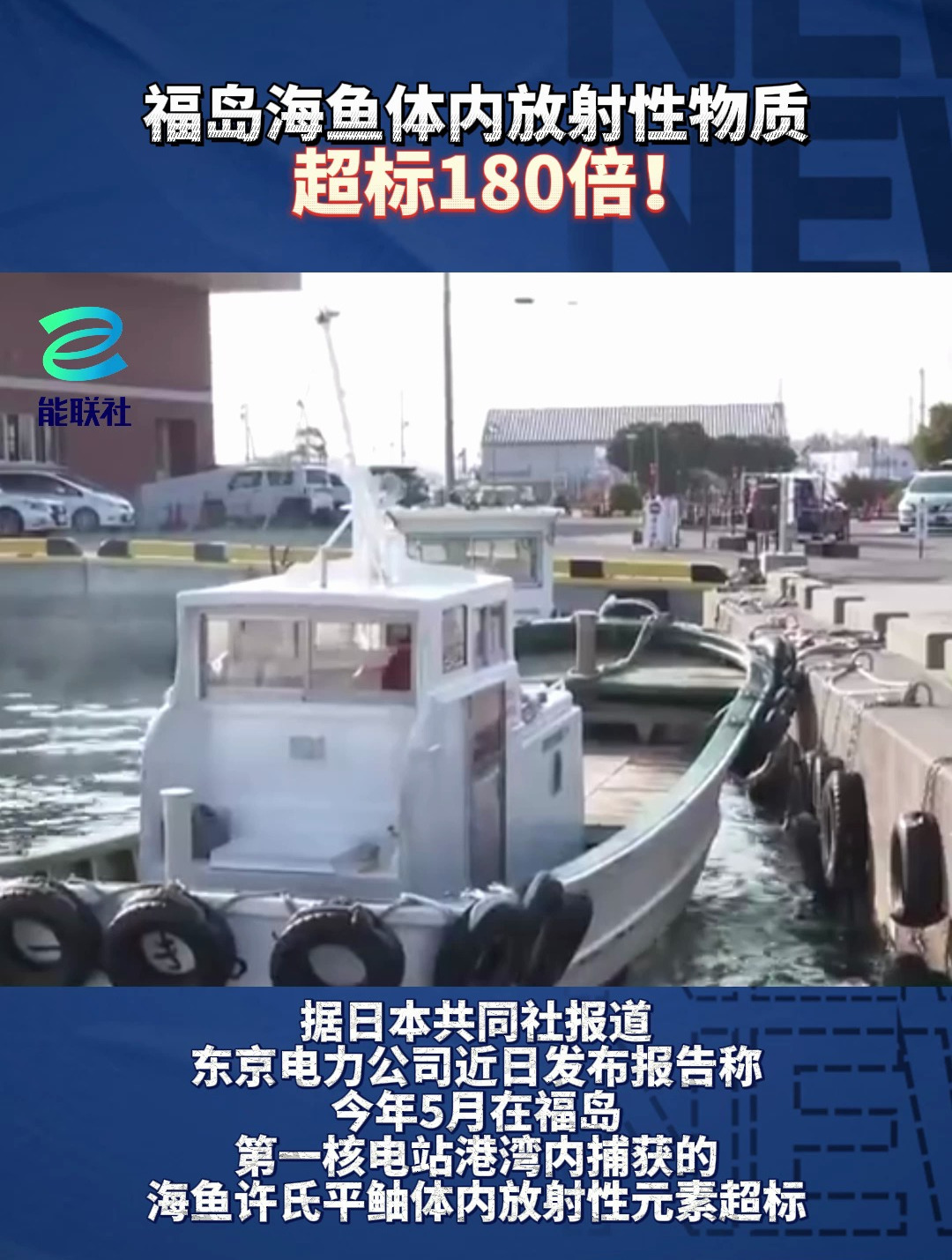 你还敢吃鱼吗?福岛海鱼体内放射性物质超标180倍!
