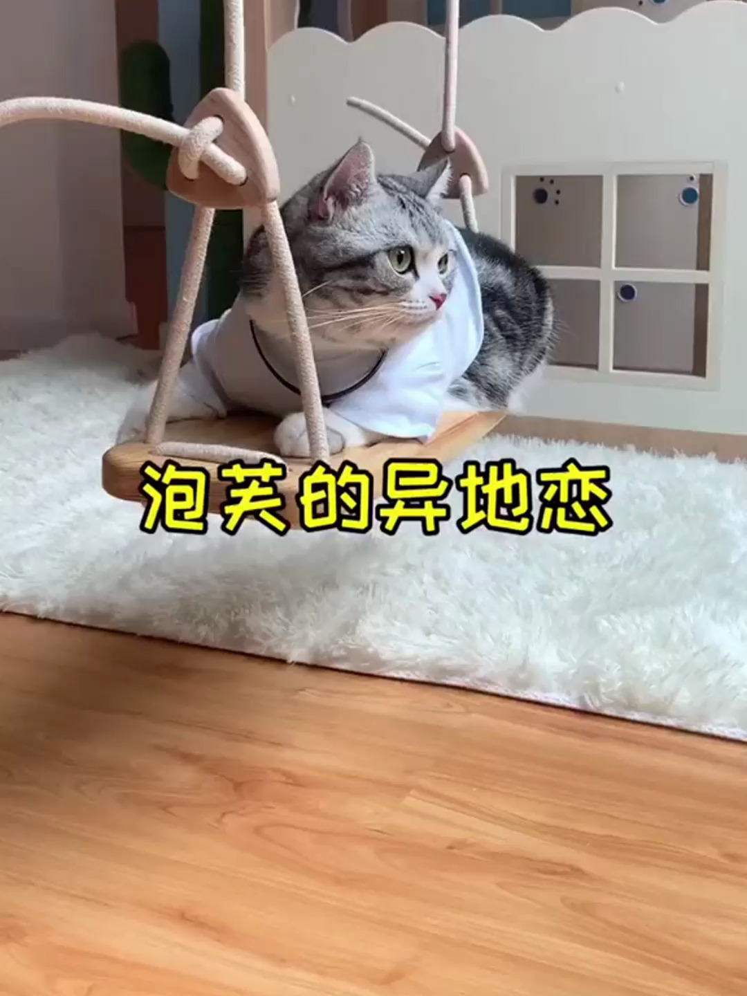 期待泡芙和安生下一次见面