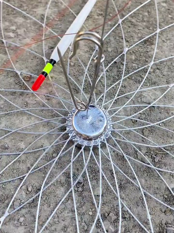 自从有了“它”,家里的鱼虾鳖蟹就再也吃不完了,使用方便简单