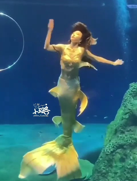 梦幻美人鱼表演,好像来到了海底世界,美的不像话