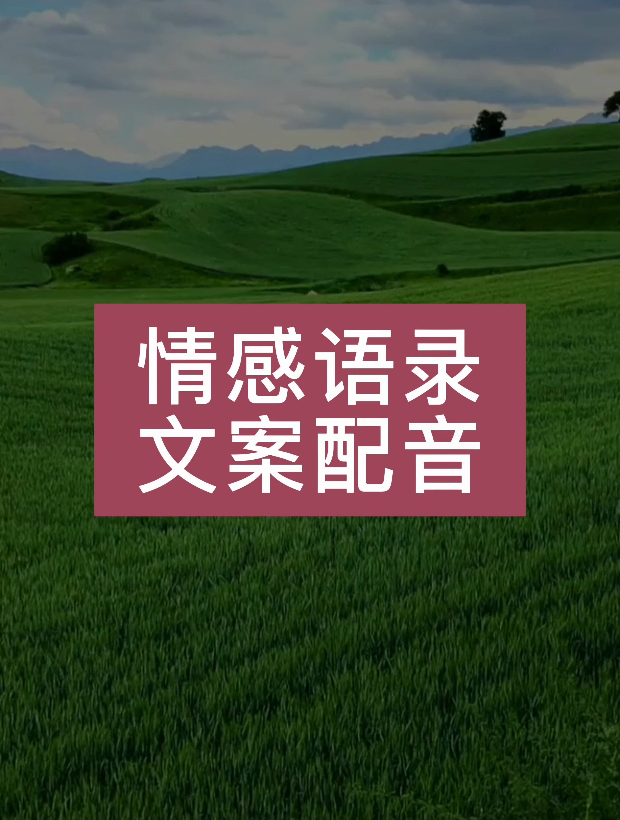 当你经历过一些事情的时候,眼前的风景已经和从前不一样了