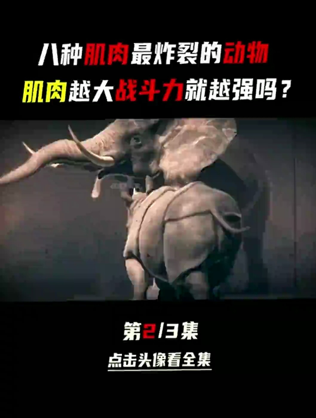 动物界的前八名肌肉扛把子,战斗值爆表