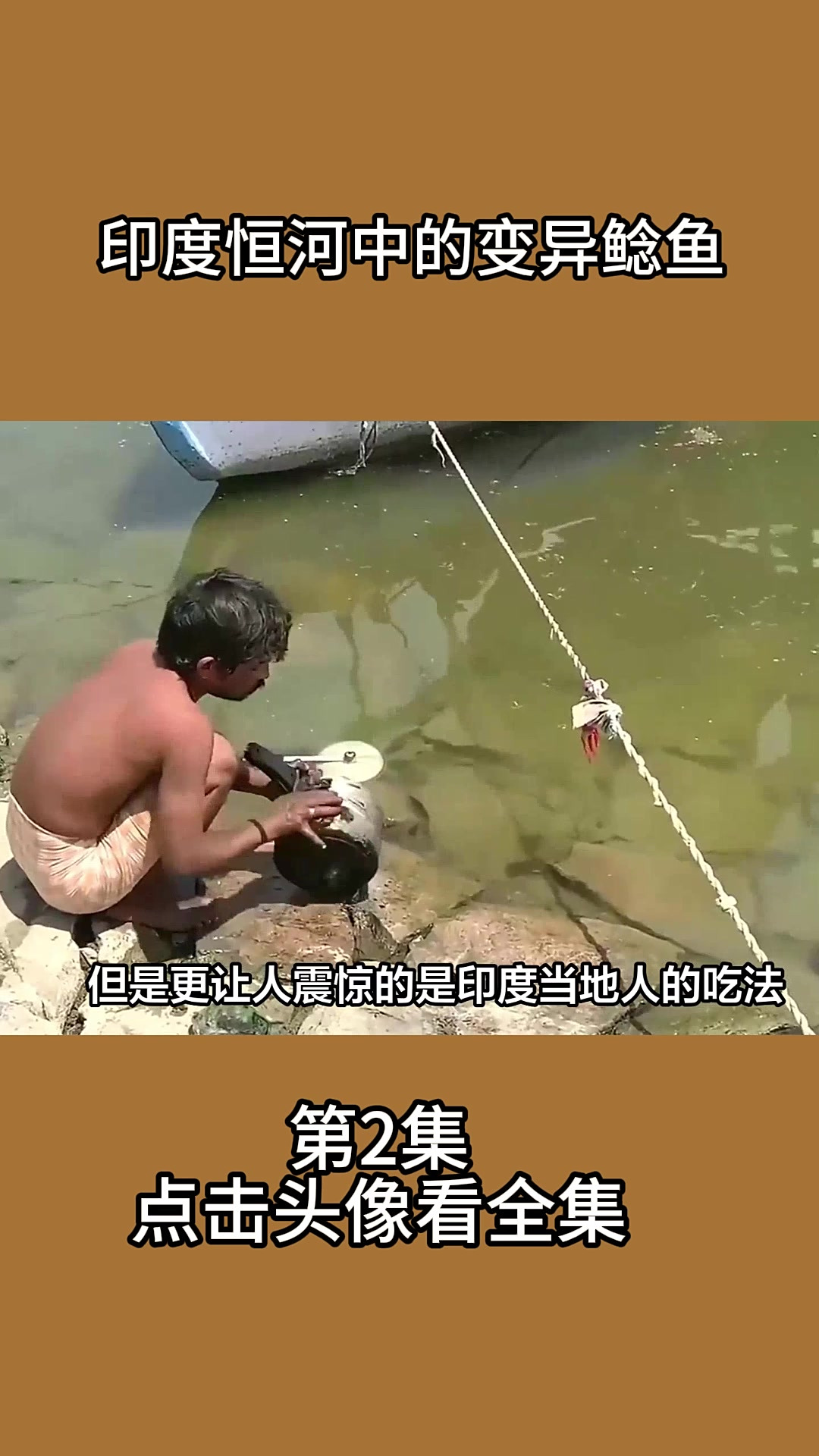 印度恒河中的变异鲶鱼2