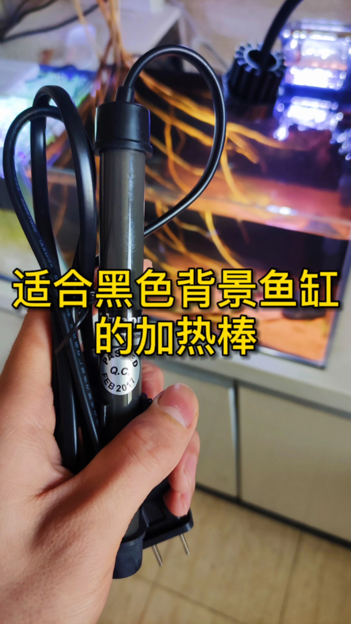 小鱼缸用什么加热棒?适合小缸的高颜值加热棒