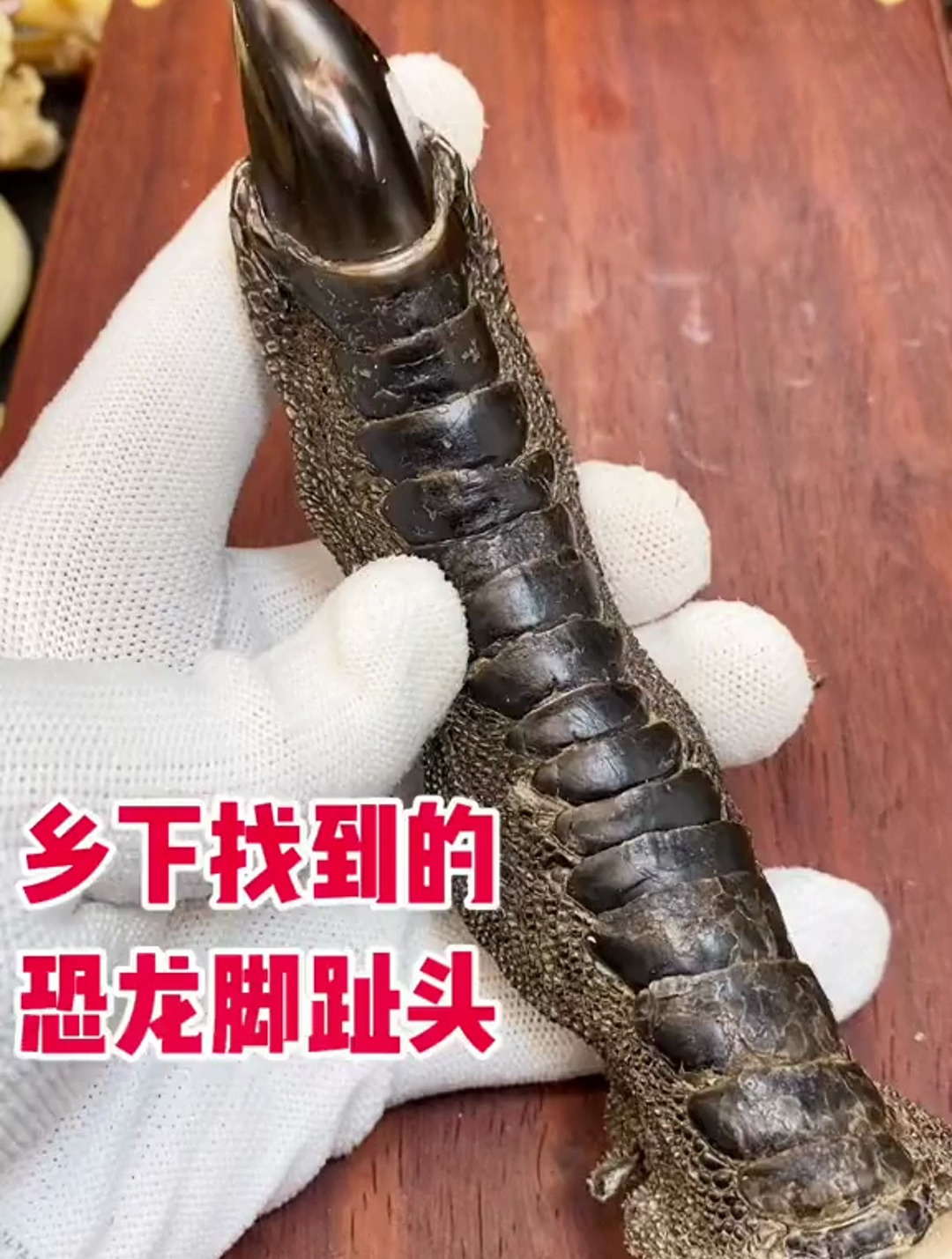 文玩鸡爪骨 有人见过吗?