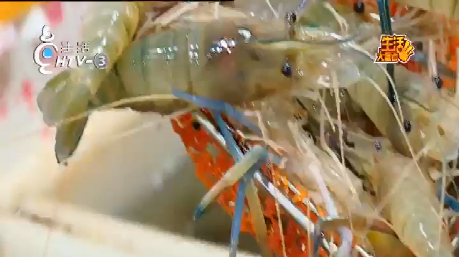 民间美食,鲍鱼小炒王,好吃美味 (1)