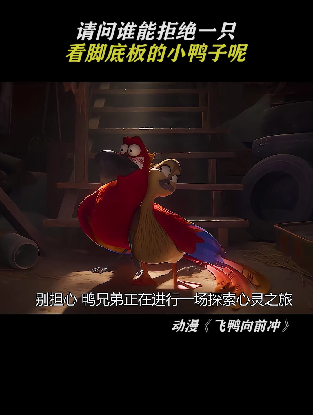飞鸭向前冲:看鸭掌的小鸭子