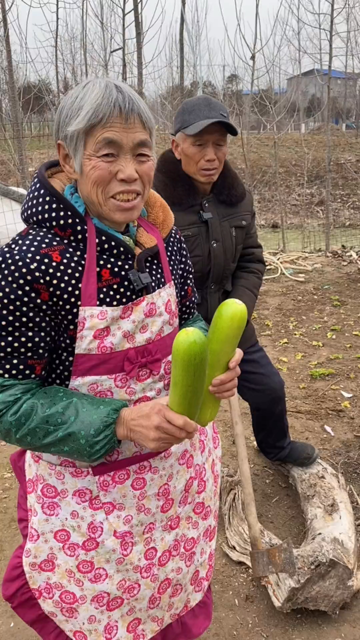 这样炒的西葫芦你们吃过吗