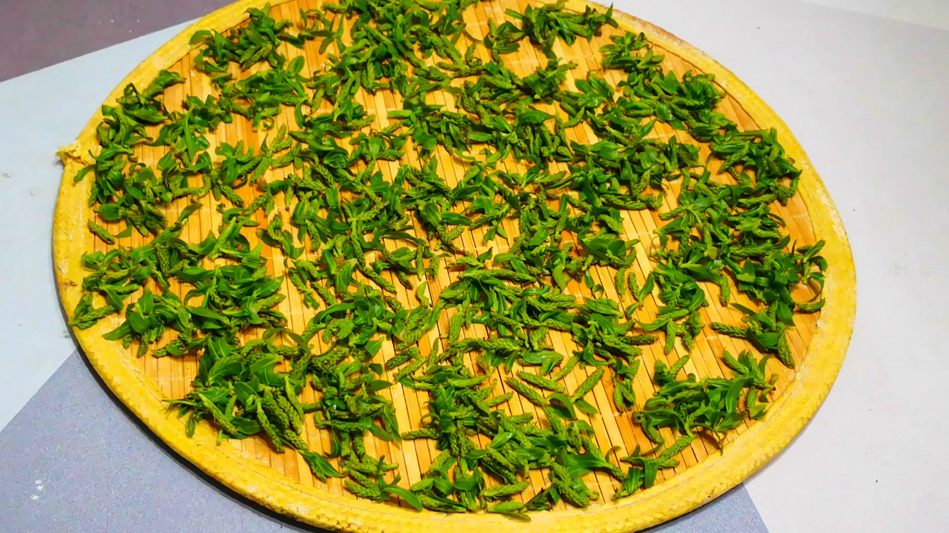 春天的“柳芽”是个宝,被誉为神芽,用处真不少,不懂吃可惜!