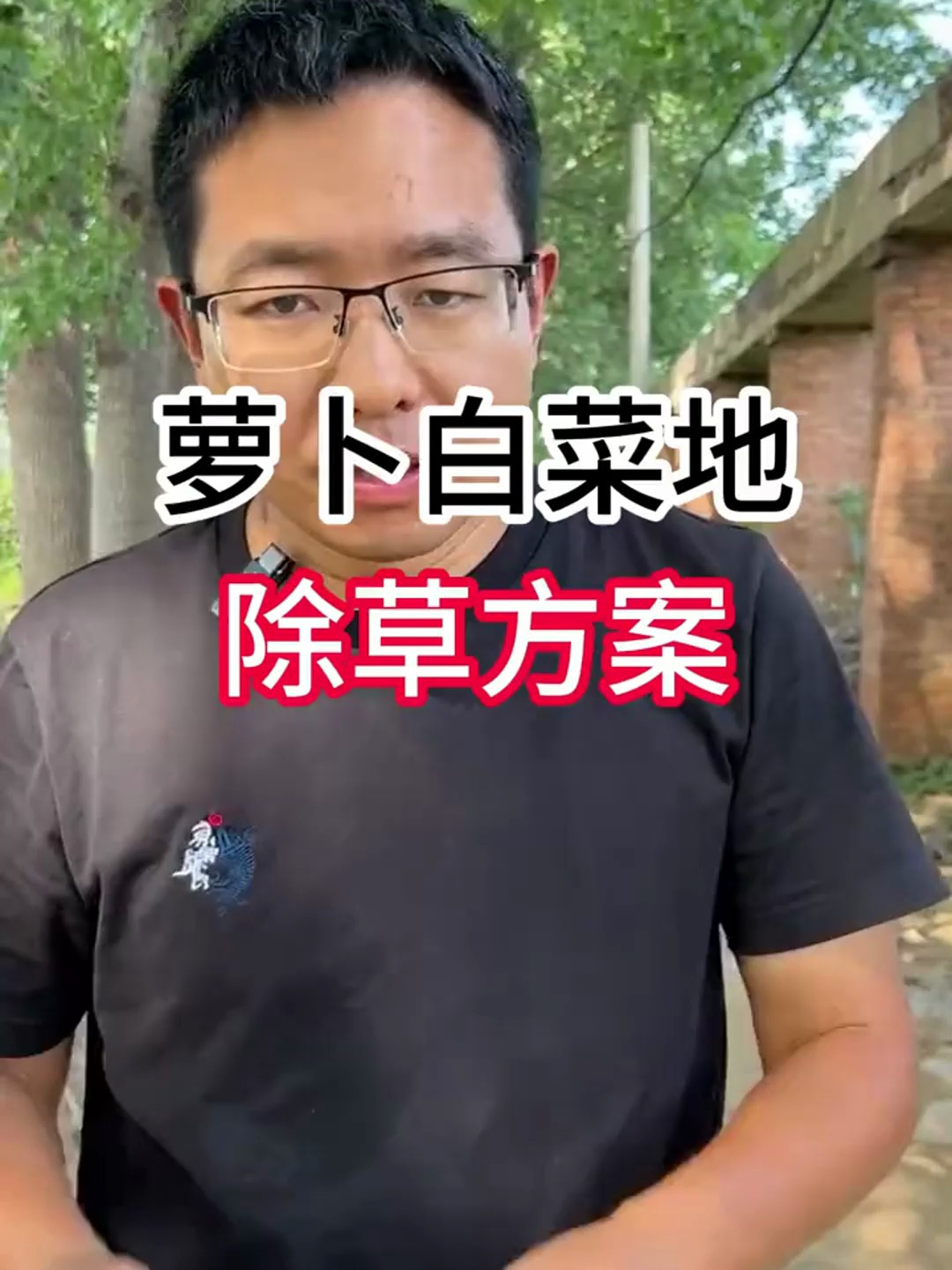 萝卜白菜地除草方案