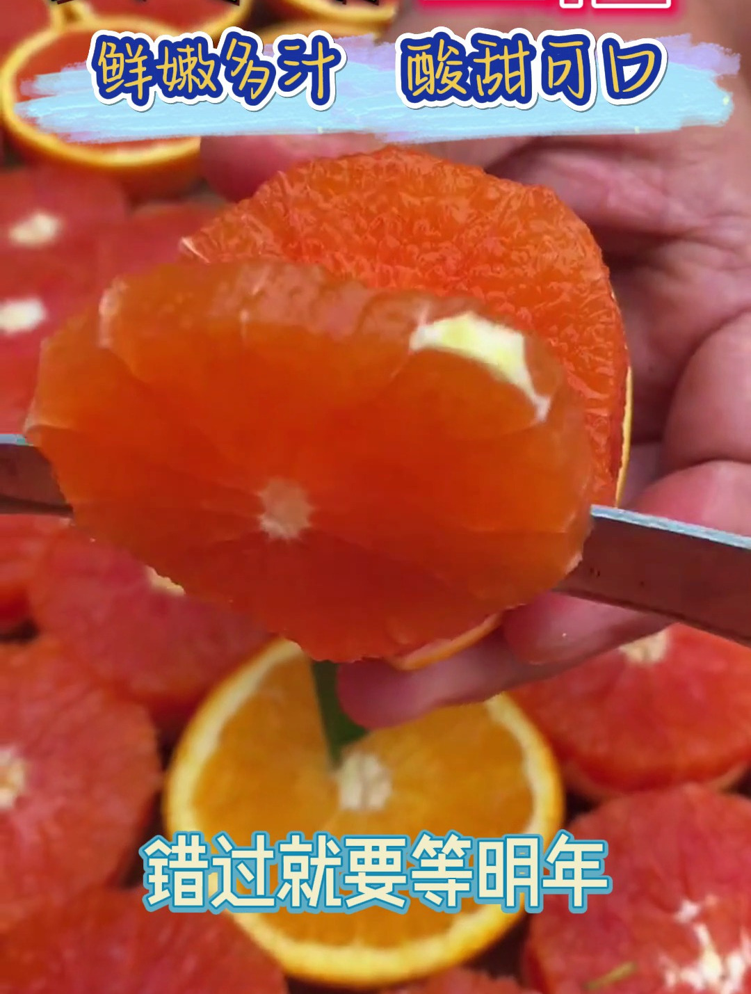 用长寿湖血橙开启每一天,品味自然的美好与纯净,释放品尝的情感