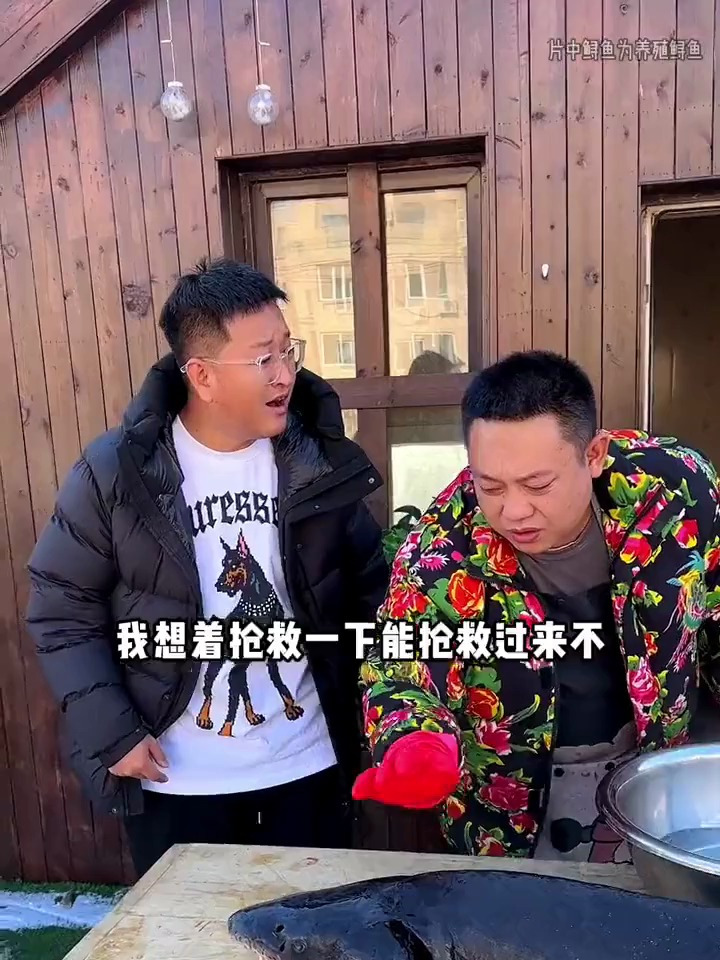 东北铁锅炖50斤鲟鱼你见过吗?(中)