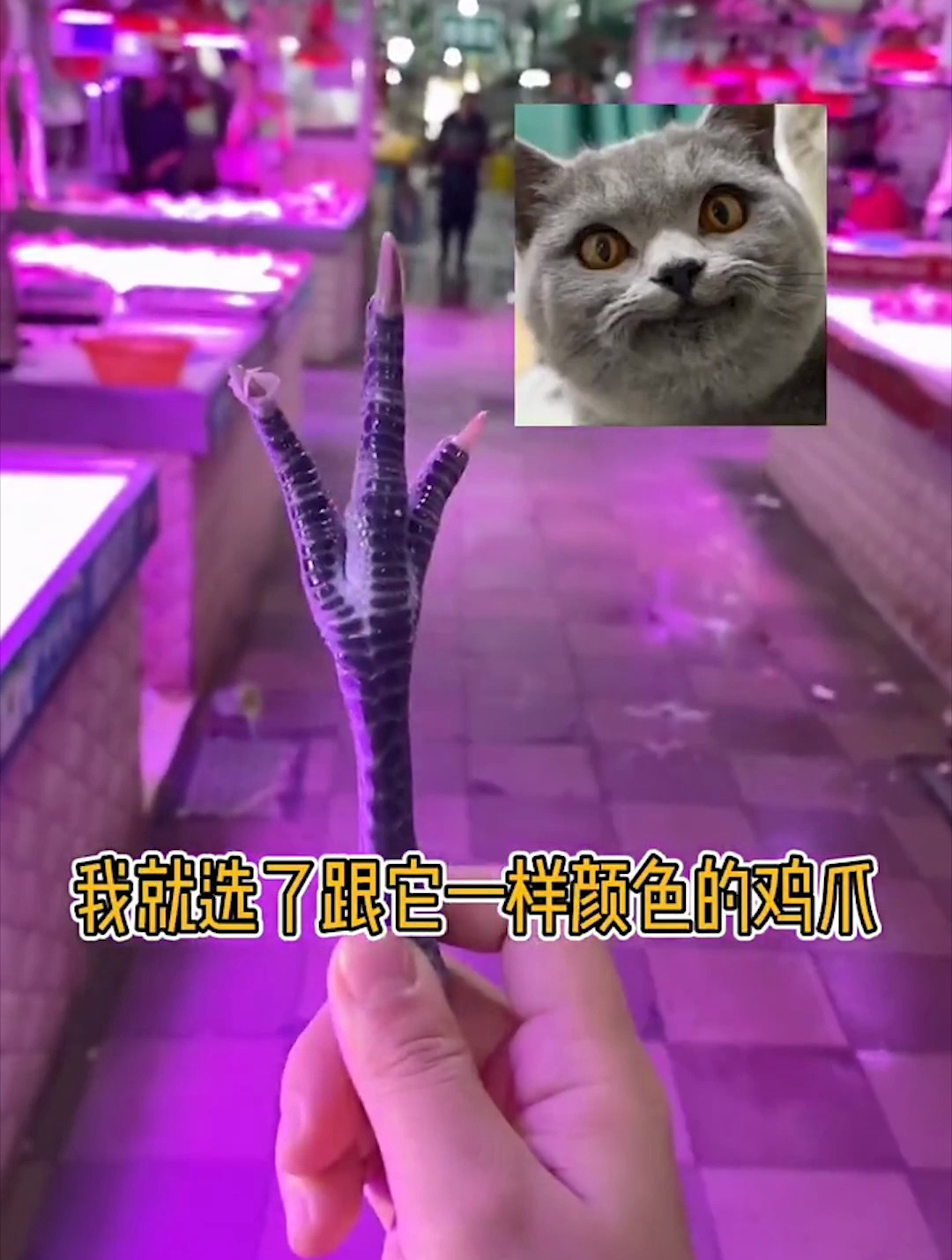 鸡爪的正确使用方法,你们get到了吗