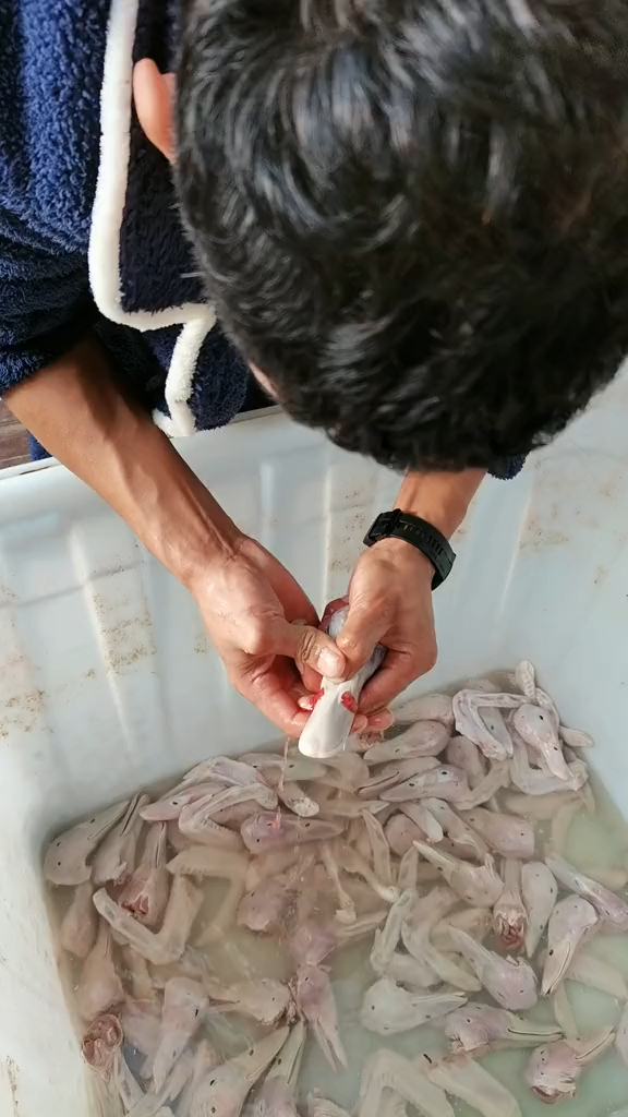 商贩才懂的秘密,鸭肉竟然是这样清洗,手工费得多收几倍
