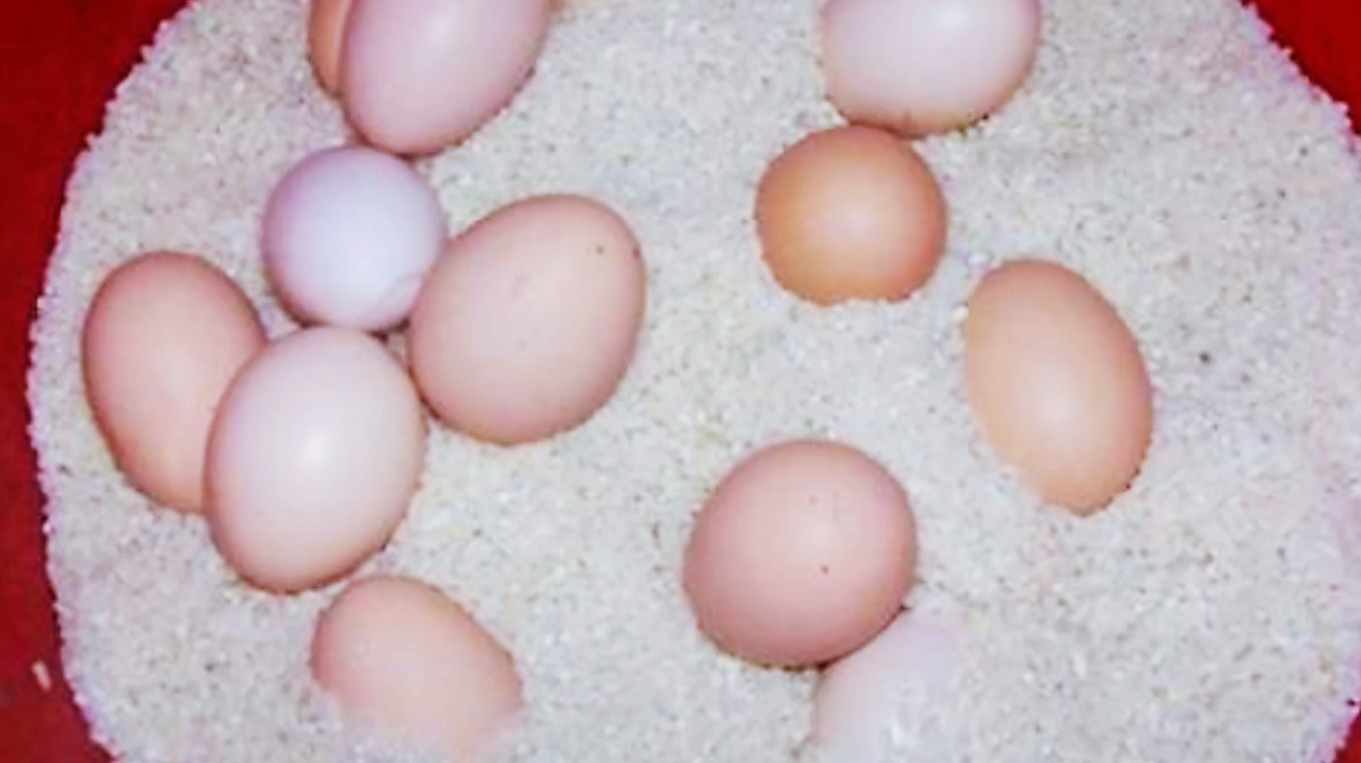 才知道,鸡蛋塞进大米里还有这种好处,家里有鸡蛋的快看看吧