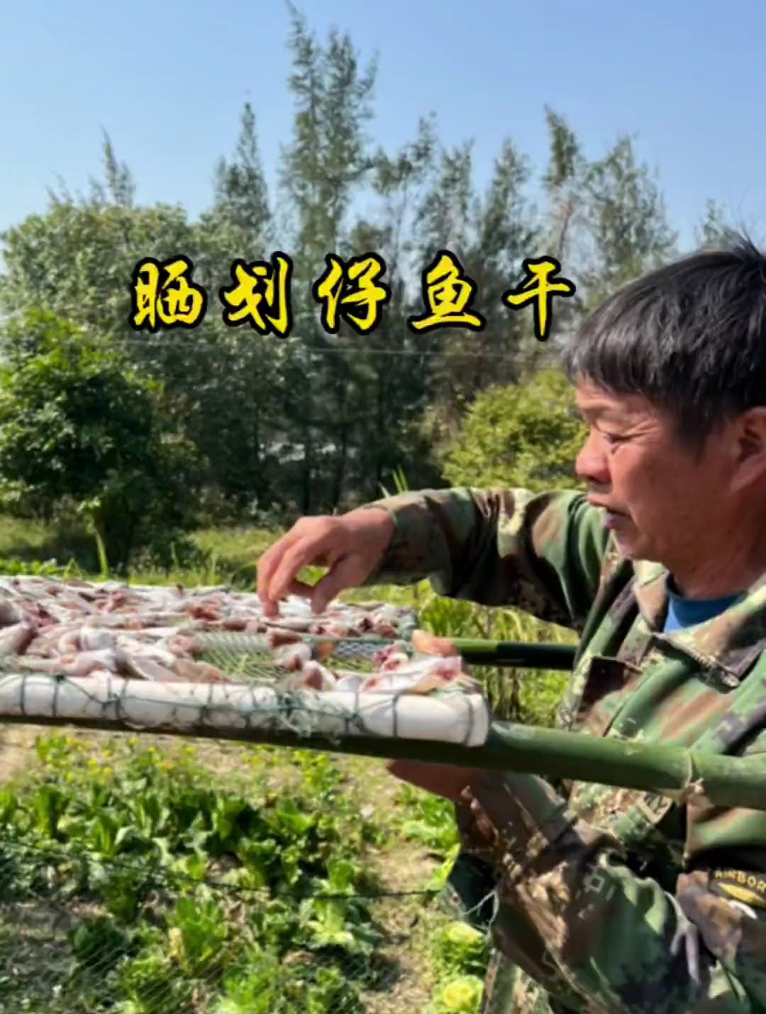 大鱼大肉过后,煎几条小咸鱼仔,喝上一碗粥,就是人间小美好