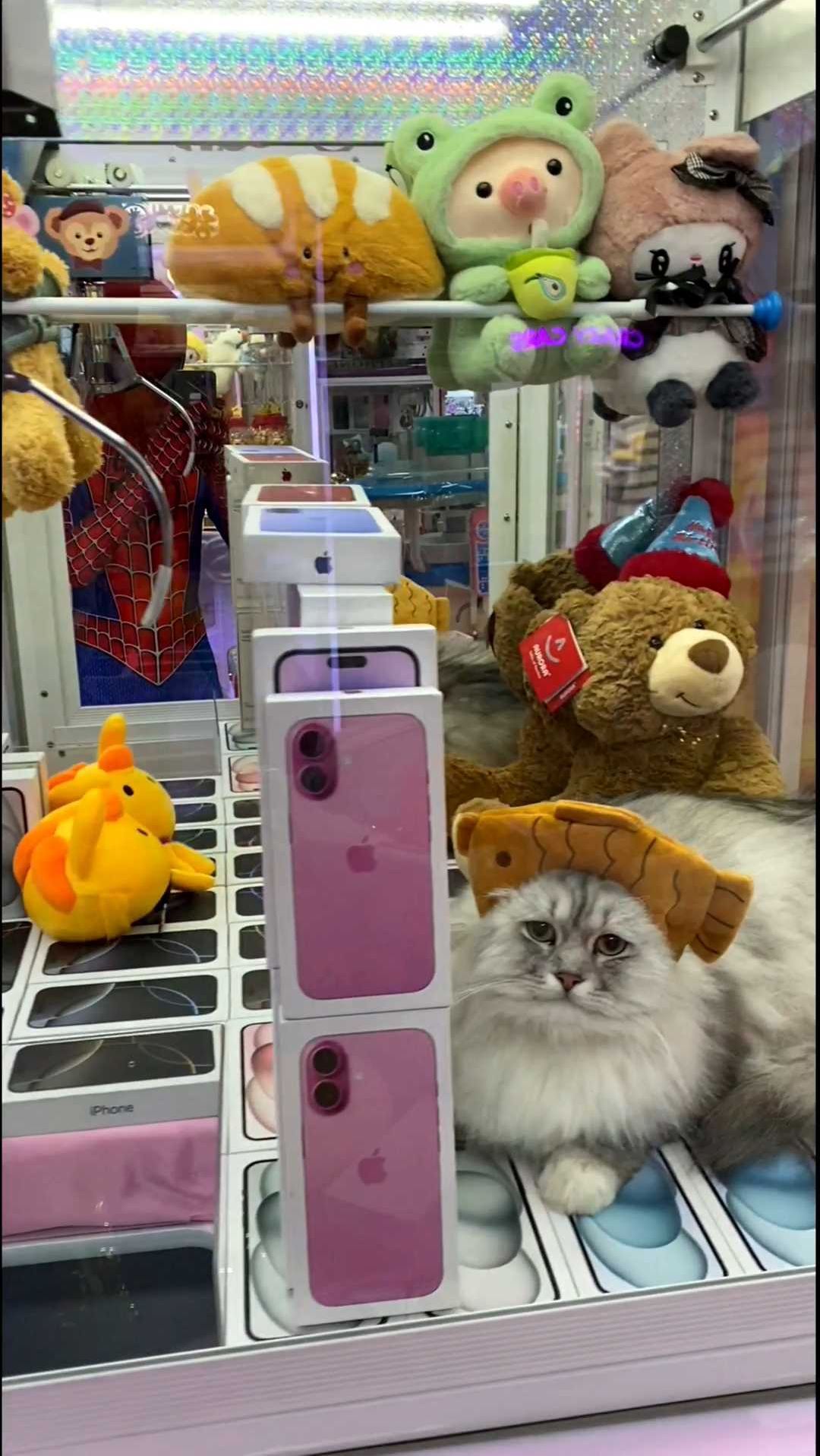 娃娃机里有只鲷鱼烧猫咪在卖娃娃?!