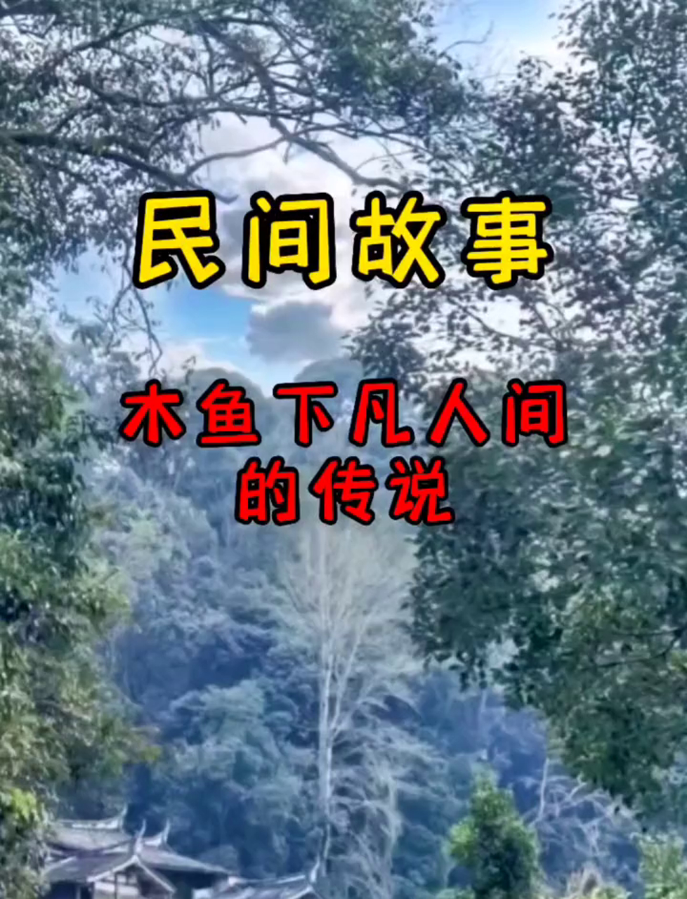 木鱼降临人间,邂逅了一段难以忘怀的爱恋
