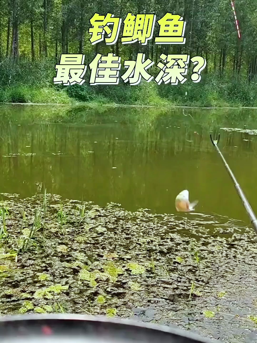 钓鲫鱼最佳水深是多少?