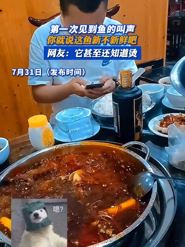 第一次见到鱼的叫声,你就说这鱼新不新鲜吧