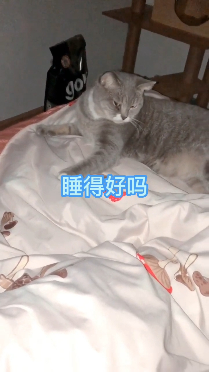 也是没有别的形容词了,一路哇哦