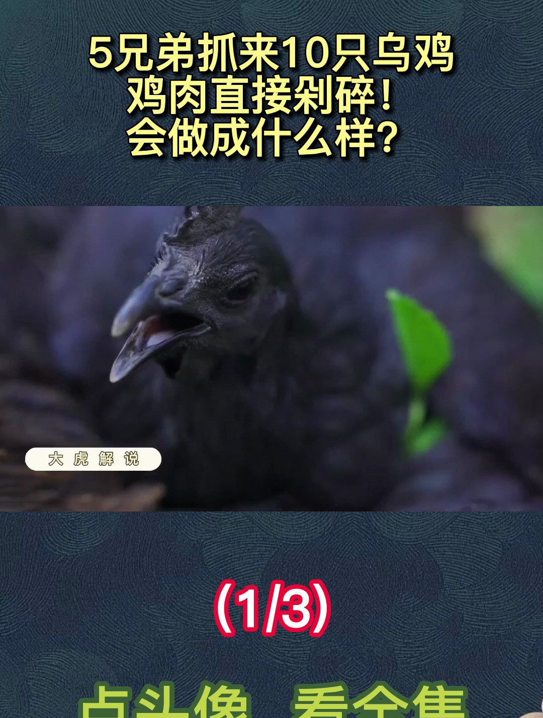 5兄弟抓来10只乌鸡,鸡肉直接剁碎!会做成什么样?