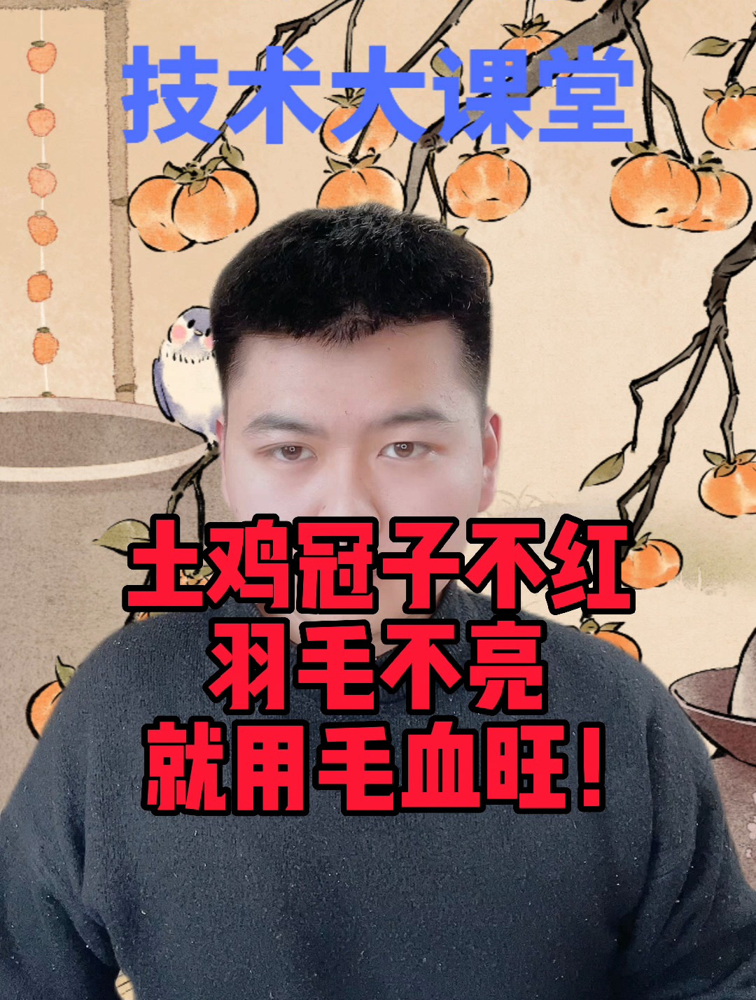 鸡吃什么鸡冠又大又红鸡冠不红用什么鸡冠小是什么原因